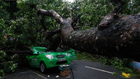 3 người chết, 6 người mất tích do bão số 5