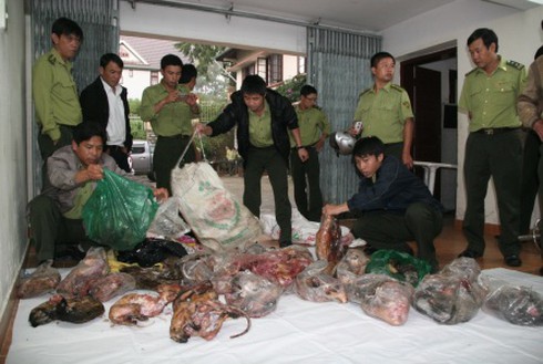 Ngày đen tối cho dân nhậu động vật hoang dã tại Lâm Đồng