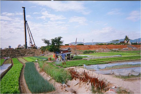 Cái nhìn đặc sắc của giới trẻ Đà Nẵng về môi trường TP