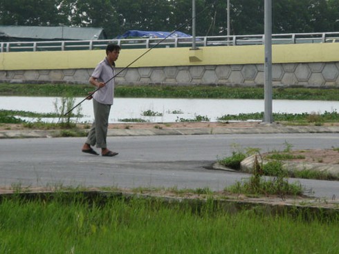 Câu cá dưới cống nước thải dự án bỏ hoang