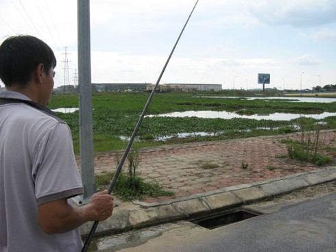 Câu cá dưới cống nước thải dự án bỏ hoang