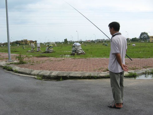 Câu cá dưới cống nước thải dự án bỏ hoang