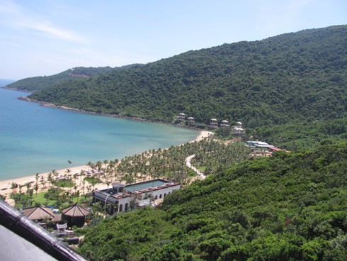 Từ `kiệt tác resort` nhìn rừng nguyên sinh Sơn Trà bị tàn phá