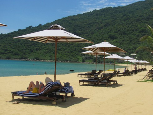 Từ `kiệt tác resort` nhìn rừng nguyên sinh Sơn Trà bị tàn phá