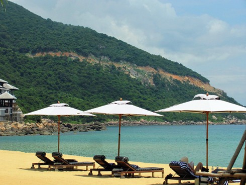 Từ `kiệt tác resort` nhìn rừng nguyên sinh Sơn Trà bị tàn phá