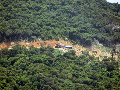 Từ `kiệt tác resort` nhìn rừng nguyên sinh Sơn Trà bị tàn phá