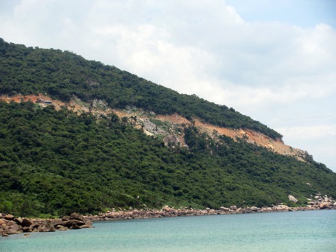 Từ `kiệt tác resort` nhìn rừng nguyên sinh Sơn Trà bị tàn phá