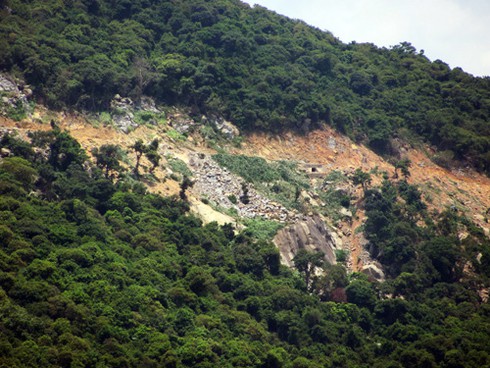 Từ `kiệt tác resort` nhìn rừng nguyên sinh Sơn Trà bị tàn phá