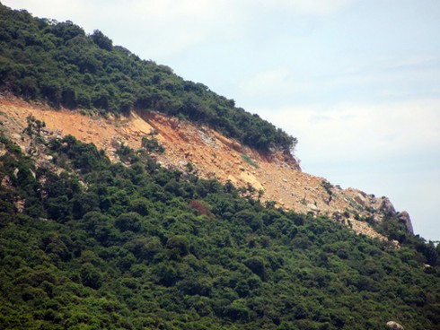 Từ `kiệt tác resort` nhìn rừng nguyên sinh Sơn Trà bị tàn phá