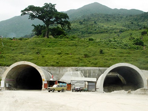 Từ `kiệt tác resort` nhìn rừng nguyên sinh Sơn Trà bị tàn phá