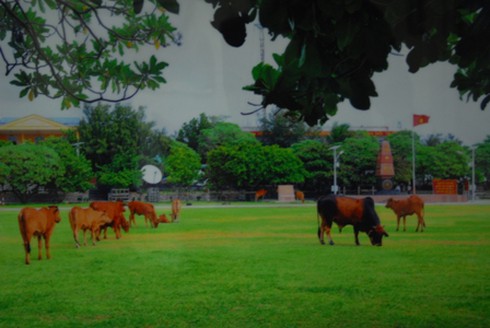 Những bức ảnh đẹp tuyệt vời về Trường Sa