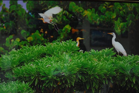 Những bức ảnh đẹp tuyệt vời về Trường Sa