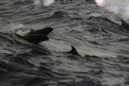 Những bức ảnh đẹp tuyệt vời về Trường Sa