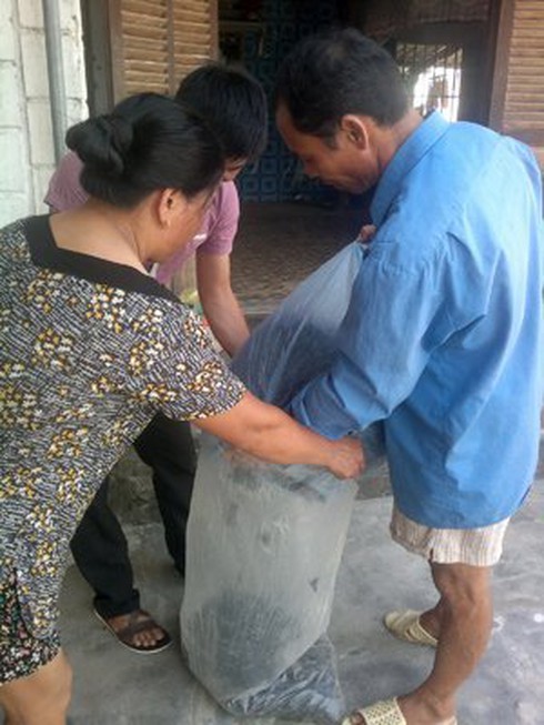 Đổ xô tận diệt ong bầu bán sang Trung Quốc