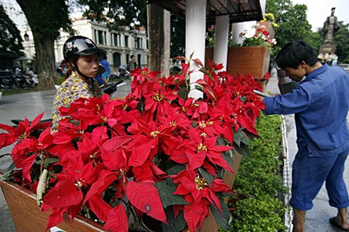 Hình ảnh Hà Nội rực rỡ cờ hoa chào Quốc Khánh