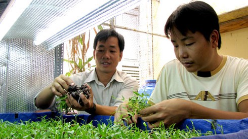 Để Trường Sa có rau xanh quanh năm