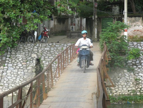 Thót tim qua chiếc cầu “nẩy”