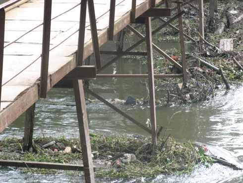 Thót tim qua chiếc cầu “nẩy”