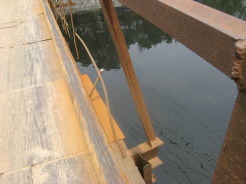 Thót tim qua chiếc cầu “nẩy”