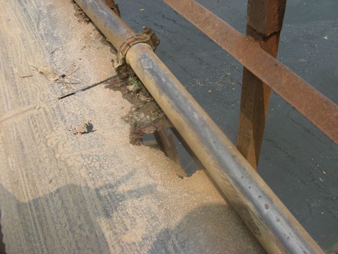 Thót tim qua chiếc cầu “nẩy”