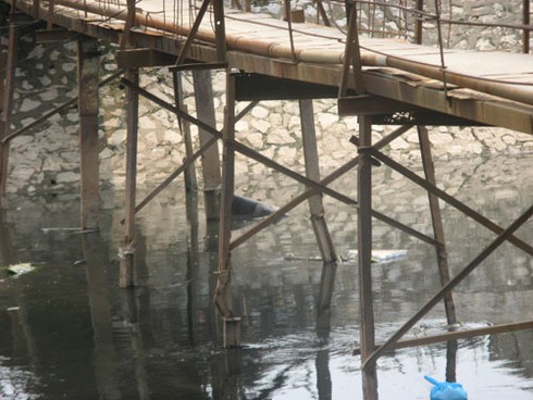 Thót tim qua chiếc cầu “nẩy”