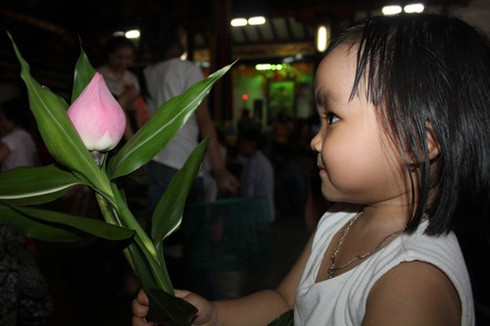 Thả chim phóng sinh ngày lễ Vu Lan