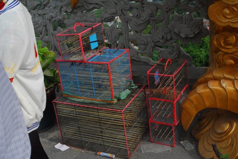 Hình ảnh xấu xí ở ngôi chùa bậc nhất Bình Dương