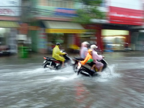 Miền Trung: Mưa lớn kéo dài, đường ngập nặng, lúa ngã đổ