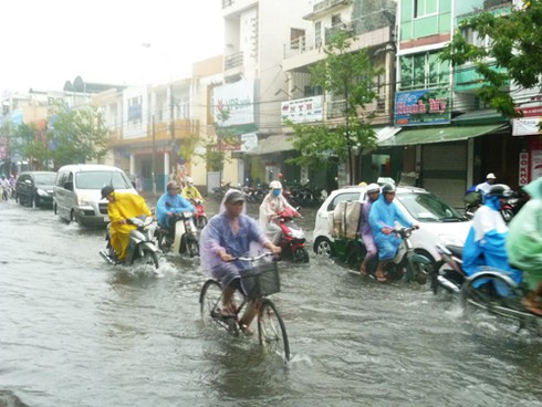 Miền Trung: Mưa lớn kéo dài, đường ngập nặng, lúa ngã đổ