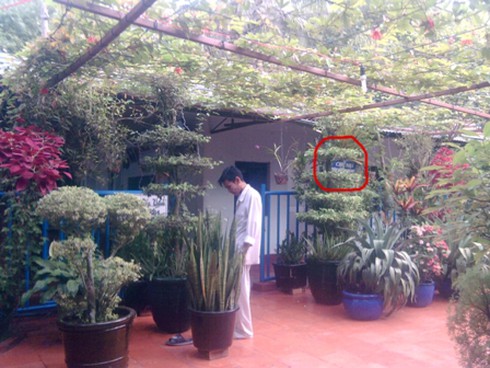 Chủ khu vườn kỳ lạ giở chiêu “móc túi” bệnh nhân
