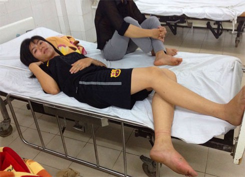 Liên tiếp các vụ người dân thành phố bị rắn lục đuôi đỏ cắn