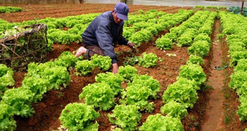 Triệt tiêu thực phẩm bẩn