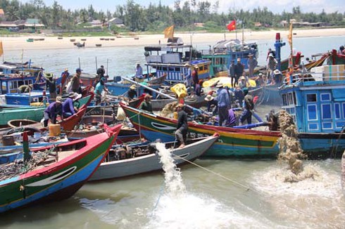 Dân đổ xô săn cổ vật, con tàu đắm biến thành... công trường