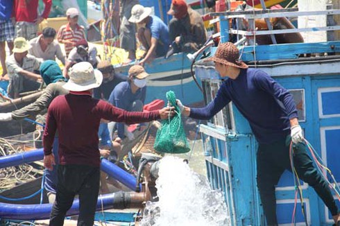 Dân đổ xô săn cổ vật, con tàu đắm biến thành... công trường