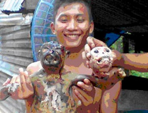 Các quán ăn, nhà hàng không bán thịt động vật hoang dã