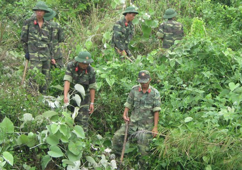 Vệ tinh Hoa Kỳ chụp ảnh Sơn Trà bị bìm bìm gây hay