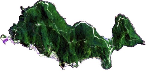 Vệ tinh Hoa Kỳ chụp ảnh Sơn Trà bị bìm bìm gây hay