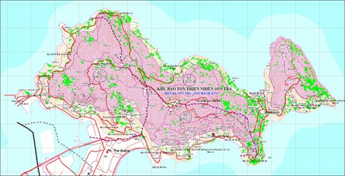 Vệ tinh Hoa Kỳ chụp ảnh Sơn Trà bị bìm bìm gây hay