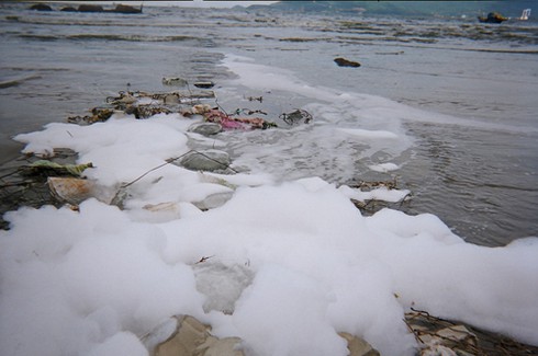 Đà Nẵng: Thi ảnh môi trường, người xem thích nhất ảnh... không đoạt giải!