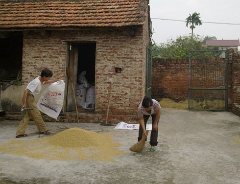 Nhiều kiểu lừa đảo mới hoành hành khu dân cư