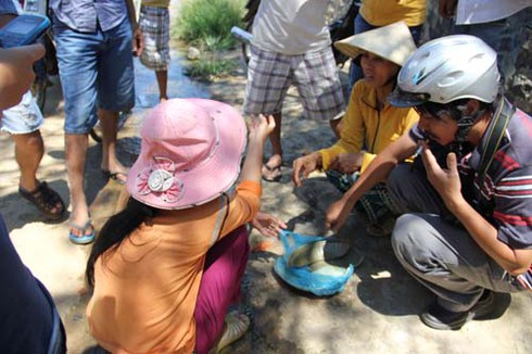 Chiêu trò dìm giá cổ vật trên con tàu đắm của dân buôn