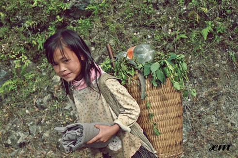 Mù Cang Chải vào thu