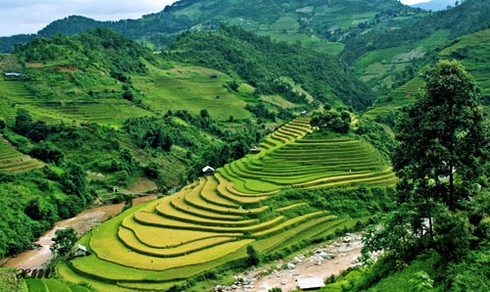 Mù Cang Chải vào thu