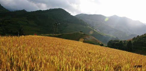 Mù Cang Chải vào thu