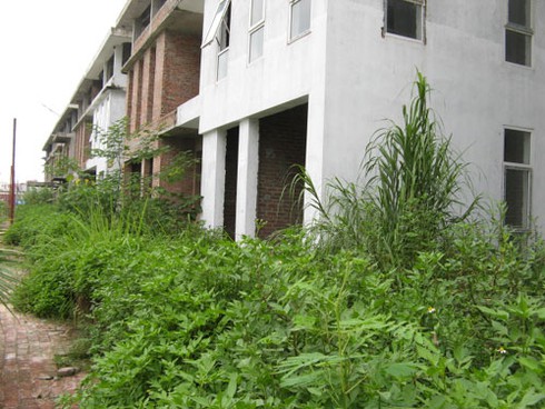 Đua cho thuê biệt thự bỏ hoang “né” thuế