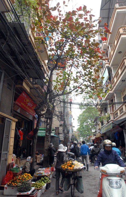 Người Hà Nội thích thú đón rét sớm