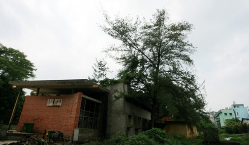 Ngôi nhà bỏ hoang trong công viên Thống Nhất