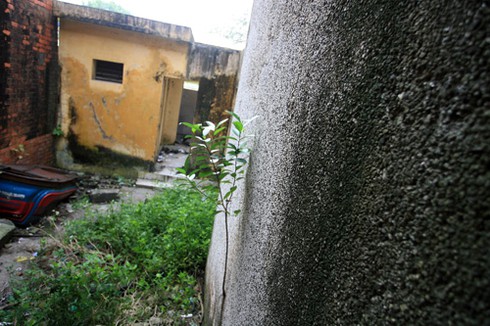 Ngôi nhà bỏ hoang trong công viên Thống Nhất