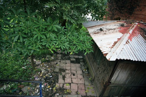 Ngôi nhà bỏ hoang trong công viên Thống Nhất