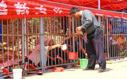 Trung Quốc: Gom ăn mày vào “lồng sắt”
